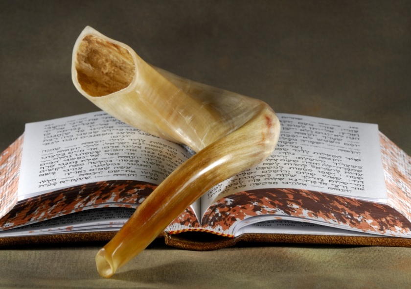 Drasha Yom Kippur (Rabbi Shapiro’s Yom Kippur Sermon)
