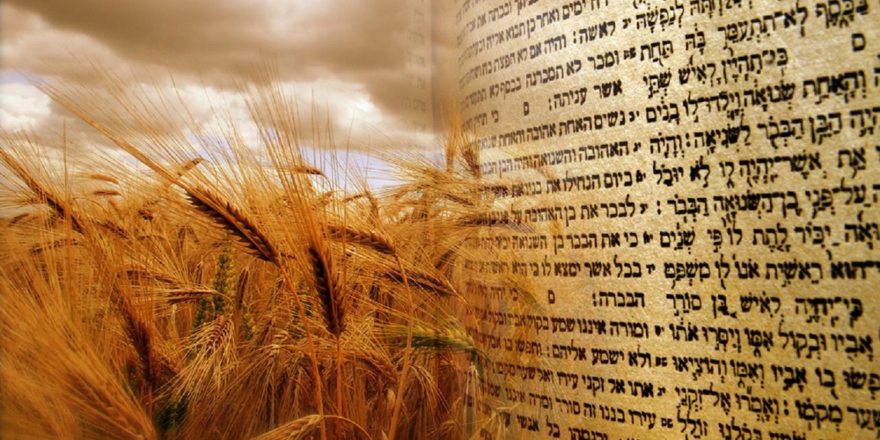 Shavuot