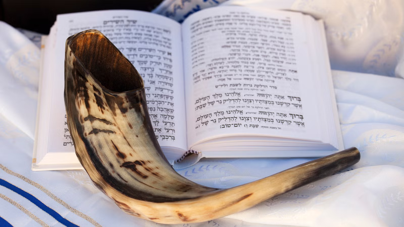 MMAE Bernie Smith Hebrew UN-School